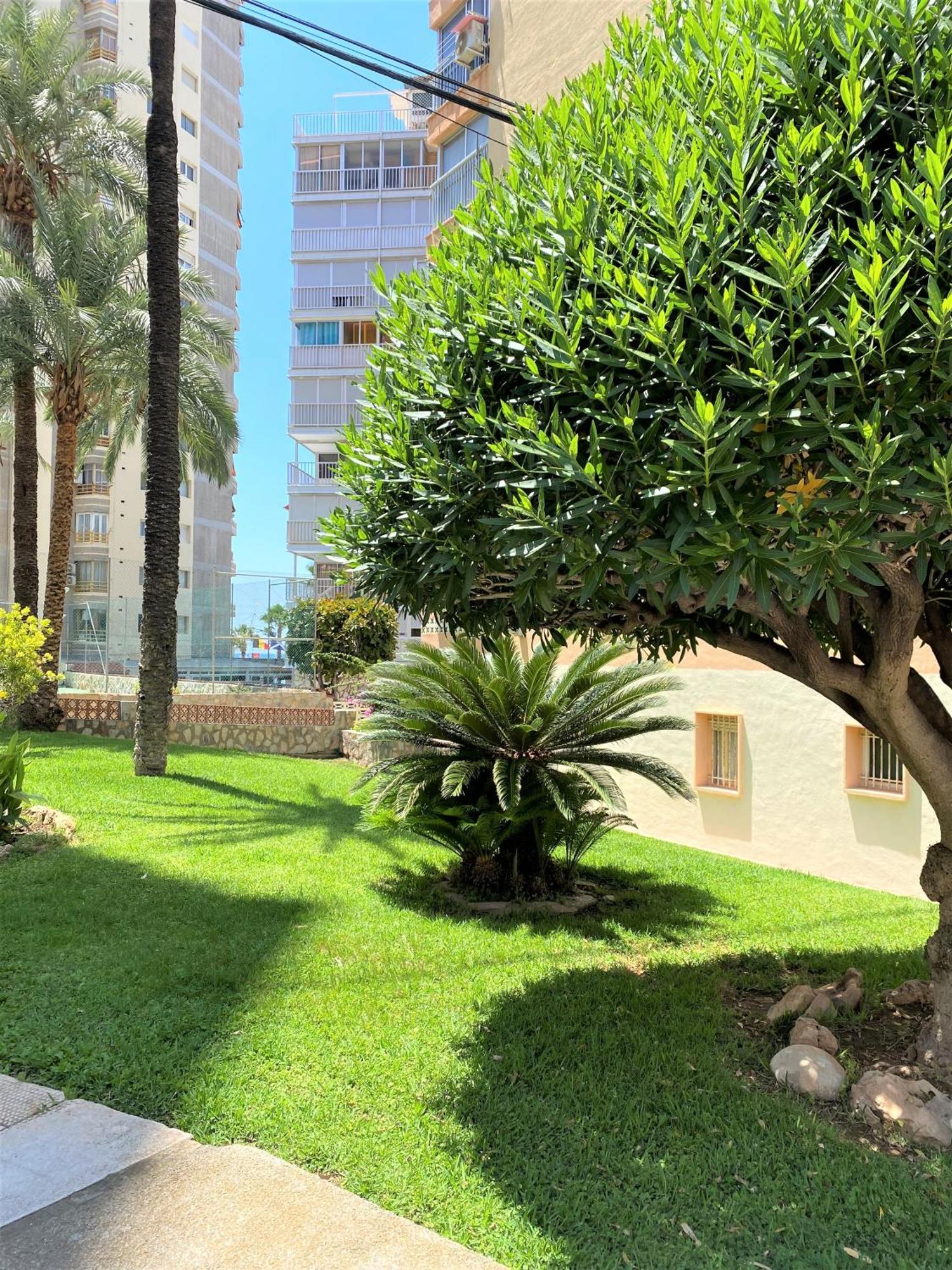 Carabelas Apartments Benidorm Dış mekan fotoğraf